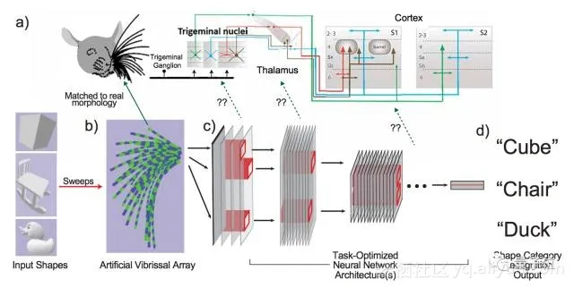 f8f11c7df6e5017d1661454d83c9e36850c45671