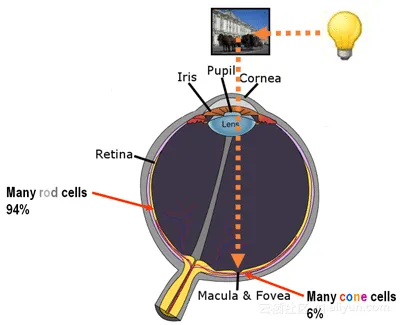 fc4238745dc96981d0702710bfe9ee994abb23c3