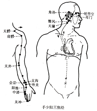 查看更多精彩图片