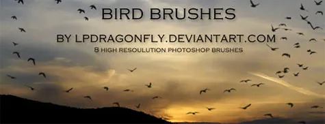 Bird Brushes