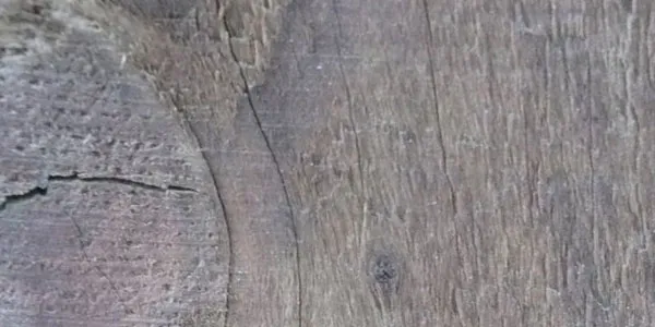 Wood Texture Stock