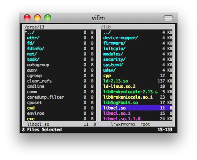 vifm screenshot