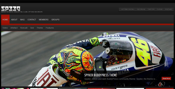 BuddyPress Themes (7)