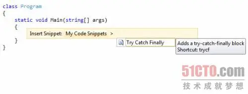 插入TryCatchFinally自定义代码段