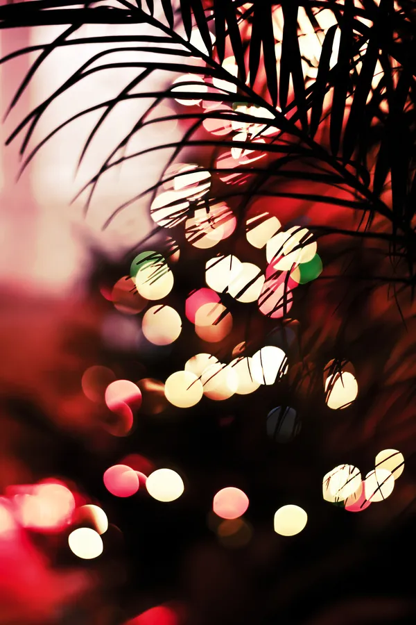 Heart-touching bokeh photography