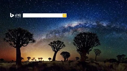 箭袋树林上空的银河