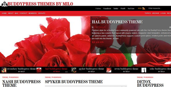 BuddyPress Themes (8)