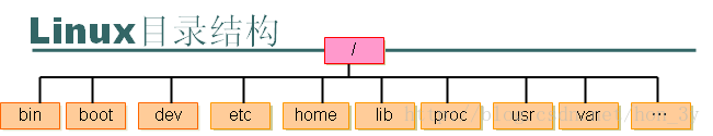 看完这篇Linux基本的操作就会了