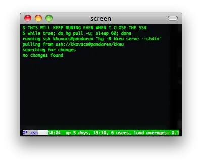 gnu screen screenshot