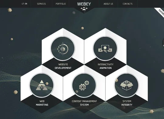 Showcase of Websites Using Hexagons