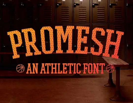 free fonts 2013