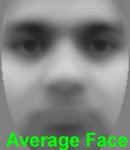 Average face