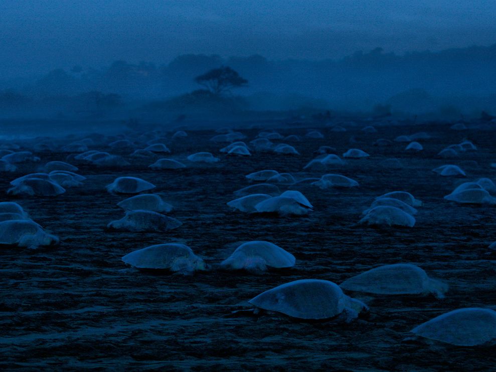 50幅精美绝伦的风光摄影作品欣赏