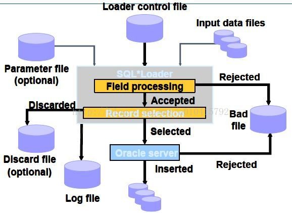 Sqlldr oracle как установить