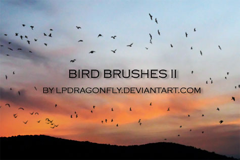Bird Brushes II