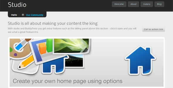 BuddyPress Themes (3)