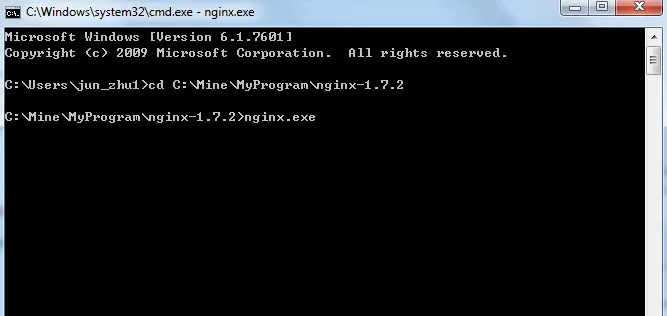 nginx