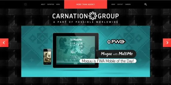 CarnationGroup