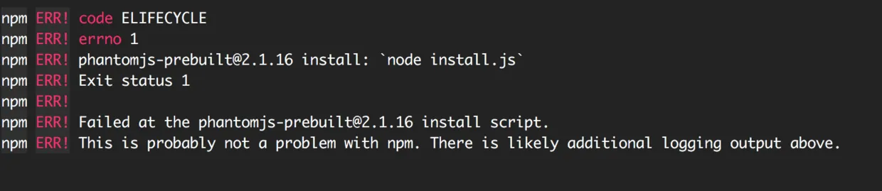 npm install error