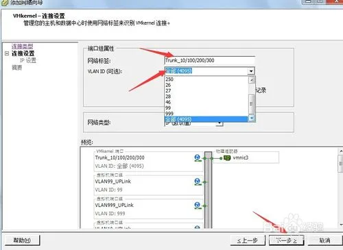 如何设置vmware esxi的网卡