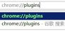 Google Chrome浏览器中如何使用命令