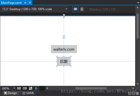 Visual Studio 设计器视图