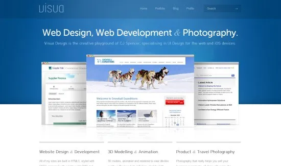 Visua Design