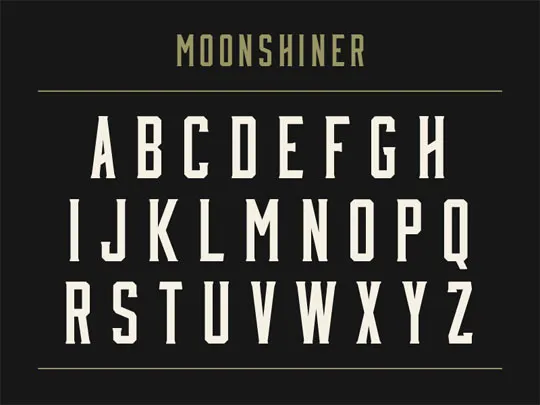 free fonts 2013