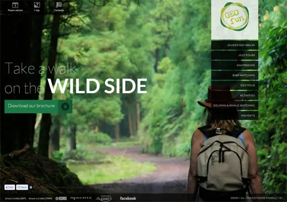 30 Stunning Website Designs Inspired by Nature and Landscapes