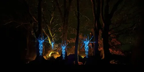 25幅精美绝伦的光涂鸦摄影作品