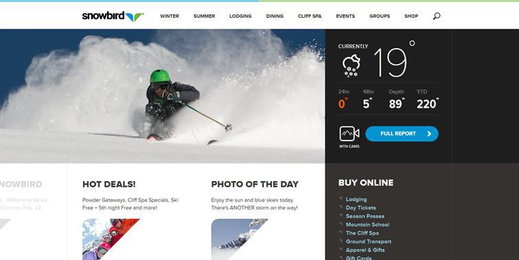 Snowbird homepage web design  responsive web inspiration