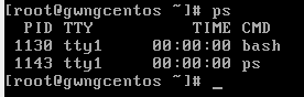 看完这篇Linux基本的操作就会了