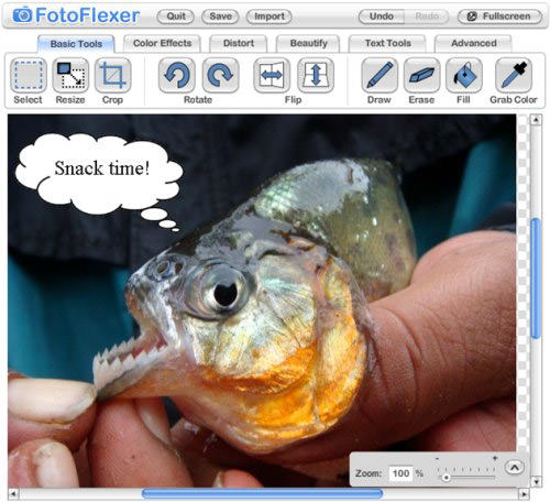fotoflexer 30+ Free Online Multimedia (Photo, Audio, Video) Editors
