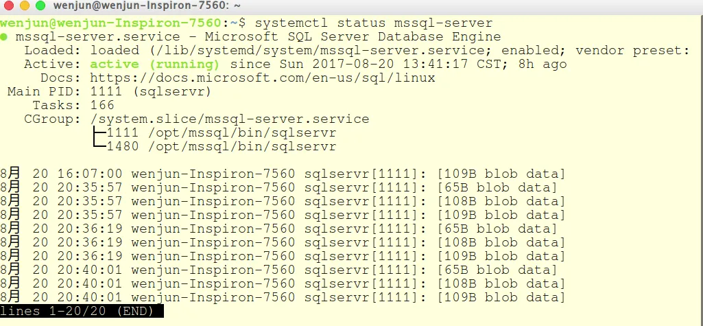 SQL SERVER 2017运行状态