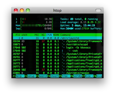 htop screenshot