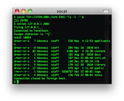 socat screenshot