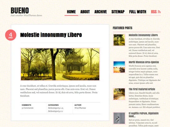 bueno 21 Free Premium Wordpress Themes to Impress