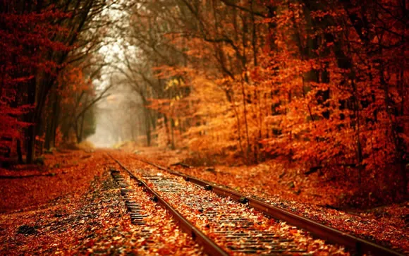 14 Colorful Autumn Wallpapers