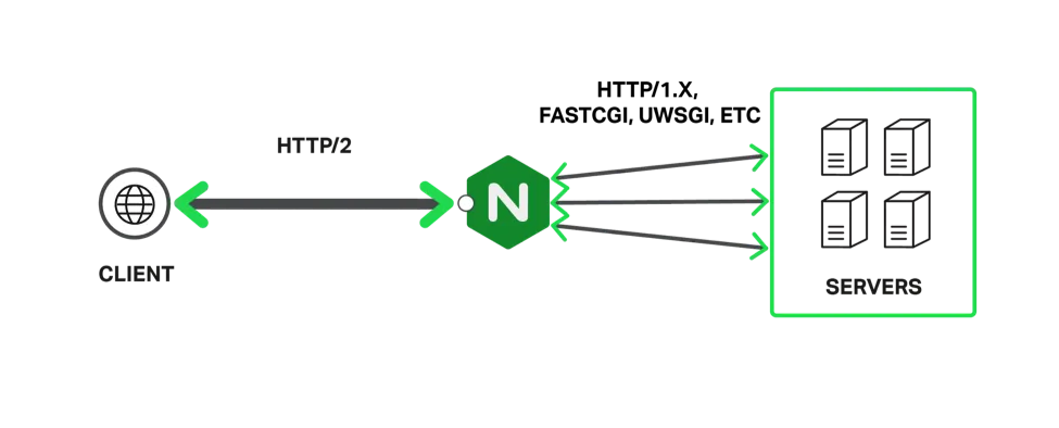 Terminate HTTP/2 and TLS with NGINX diagram