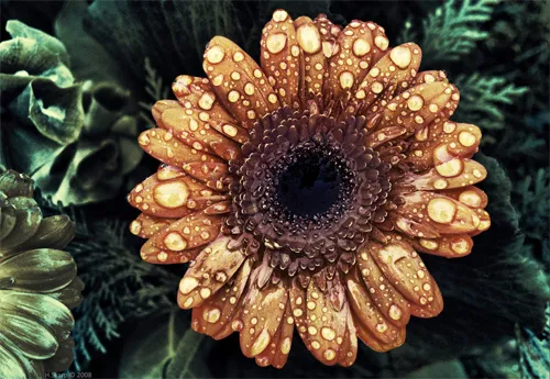 alien flower