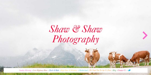 Shaw & Shaw Photography