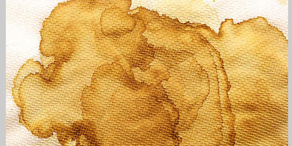Coffee Stained Napkin