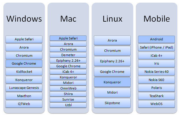 Browsers that use the Webkit rendering engine.