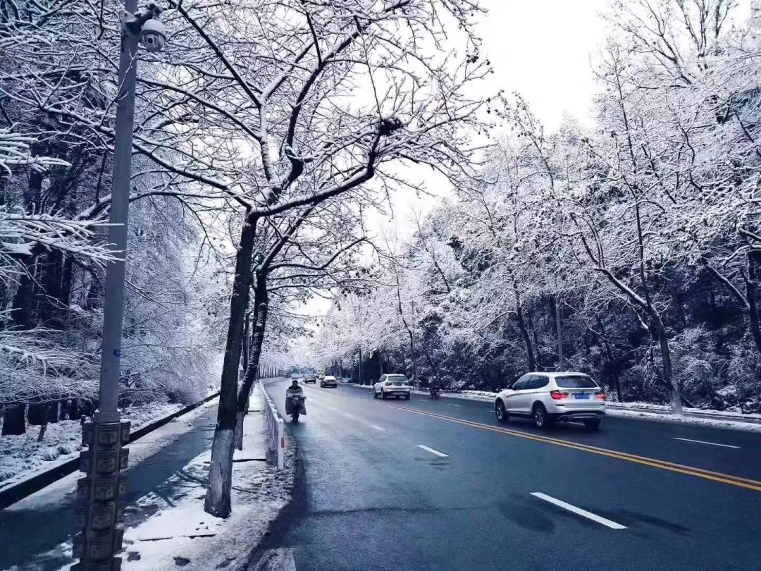 img_a26f28e11573b86f5f8bd6a5b1b2a36d.jpe