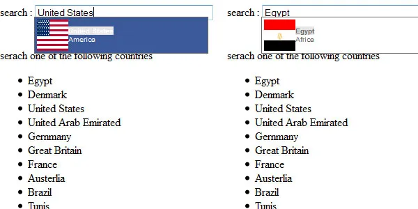 facebook search box