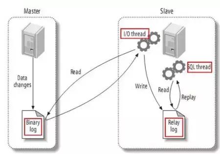 img_a74e1de4847da6697f8d0521eff0cef1.jpe