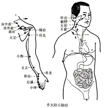 查看更多精彩图片