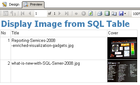 display image from database using sql reporting services report