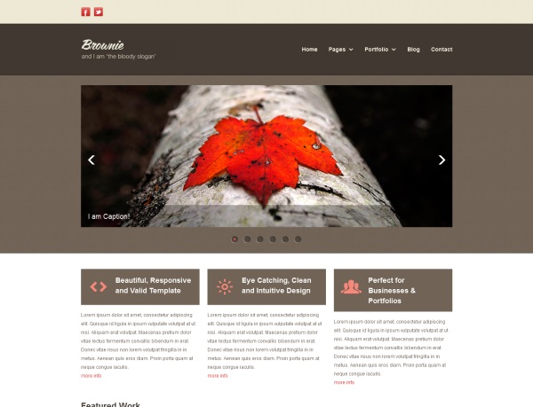 free-html5-responsive-template-9