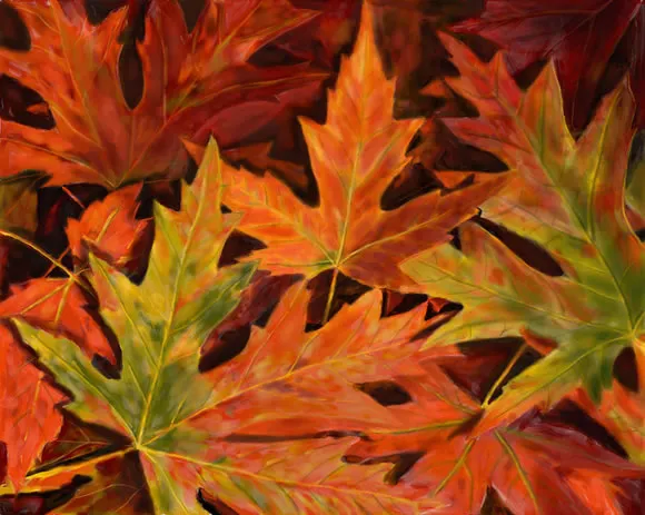 14 Colorful Autumn Wallpapers
